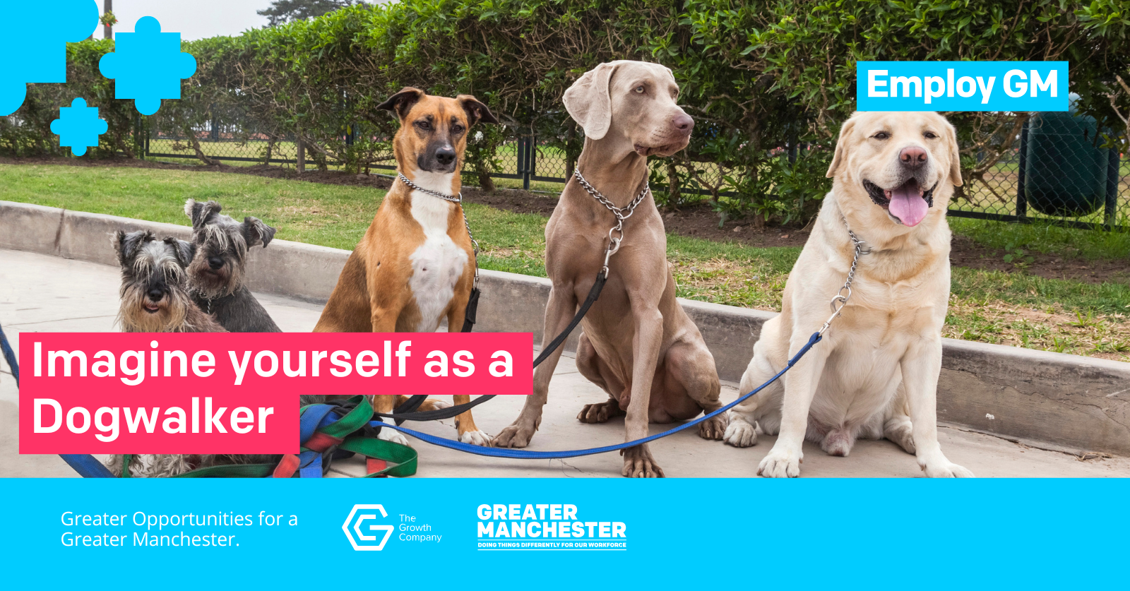 Imagine Yourself As A Dogwalker SC