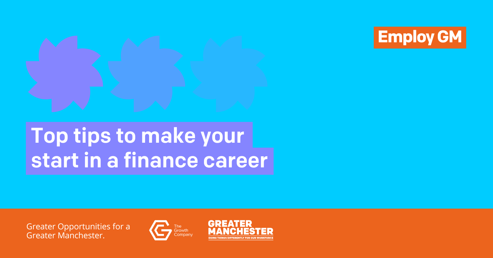 Finance Career Advice SC